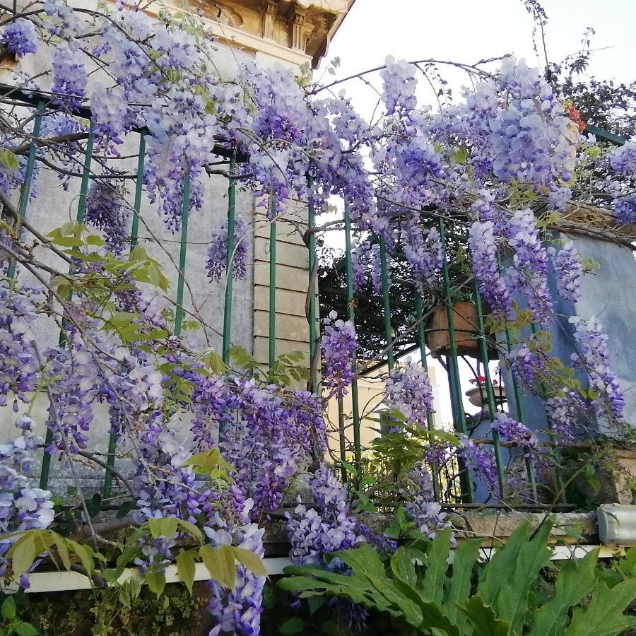 Villa Manasse Aci Castello Eksteriør billede